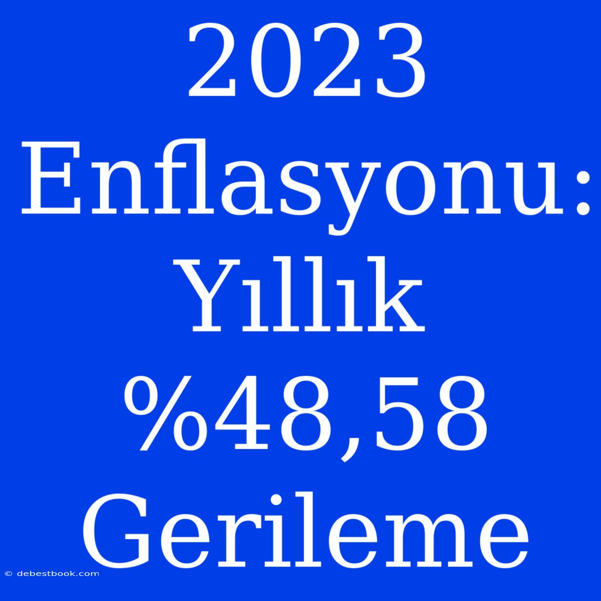 2023 Enflasyonu: Yıllık %48,58 Gerileme