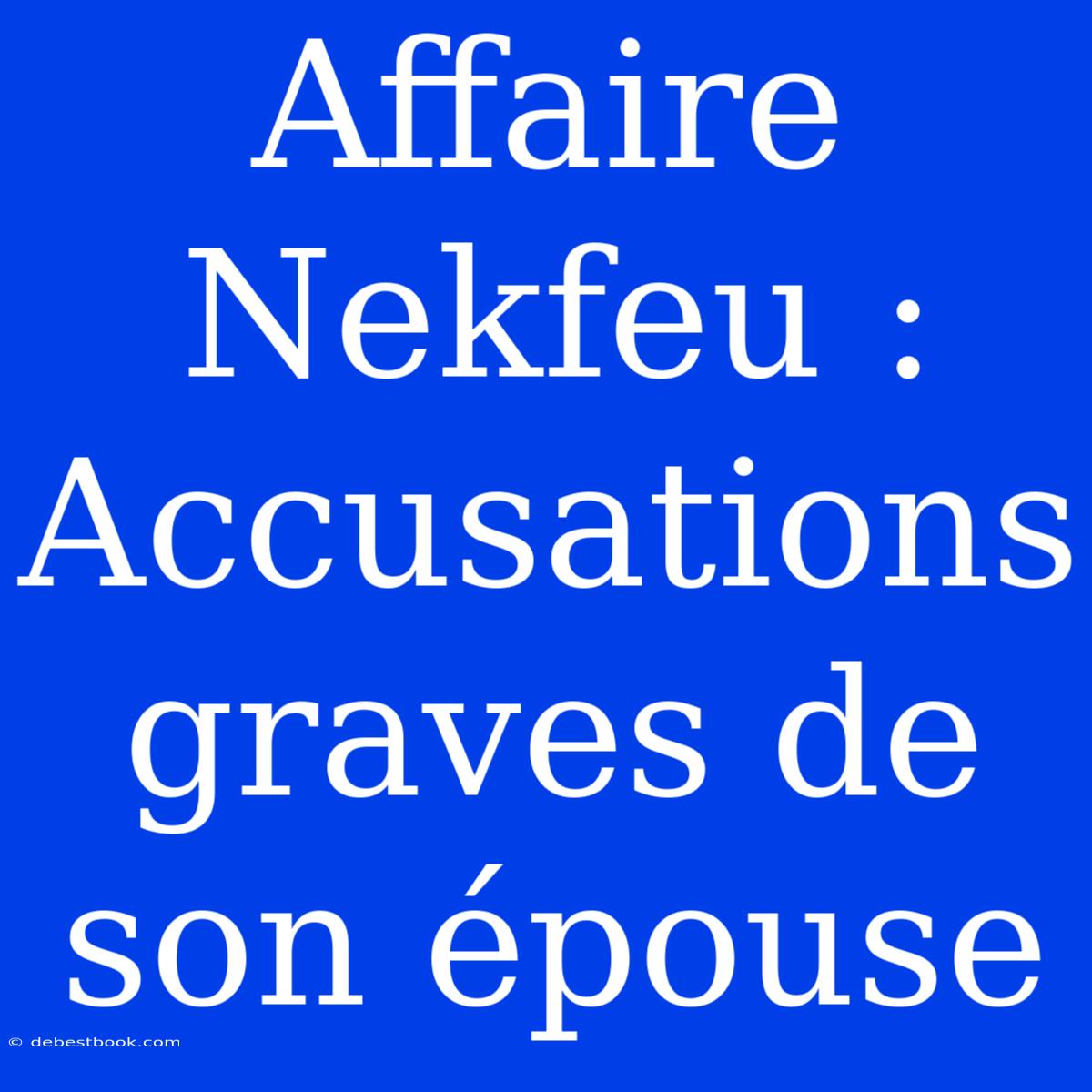 Affaire Nekfeu : Accusations Graves De Son Épouse