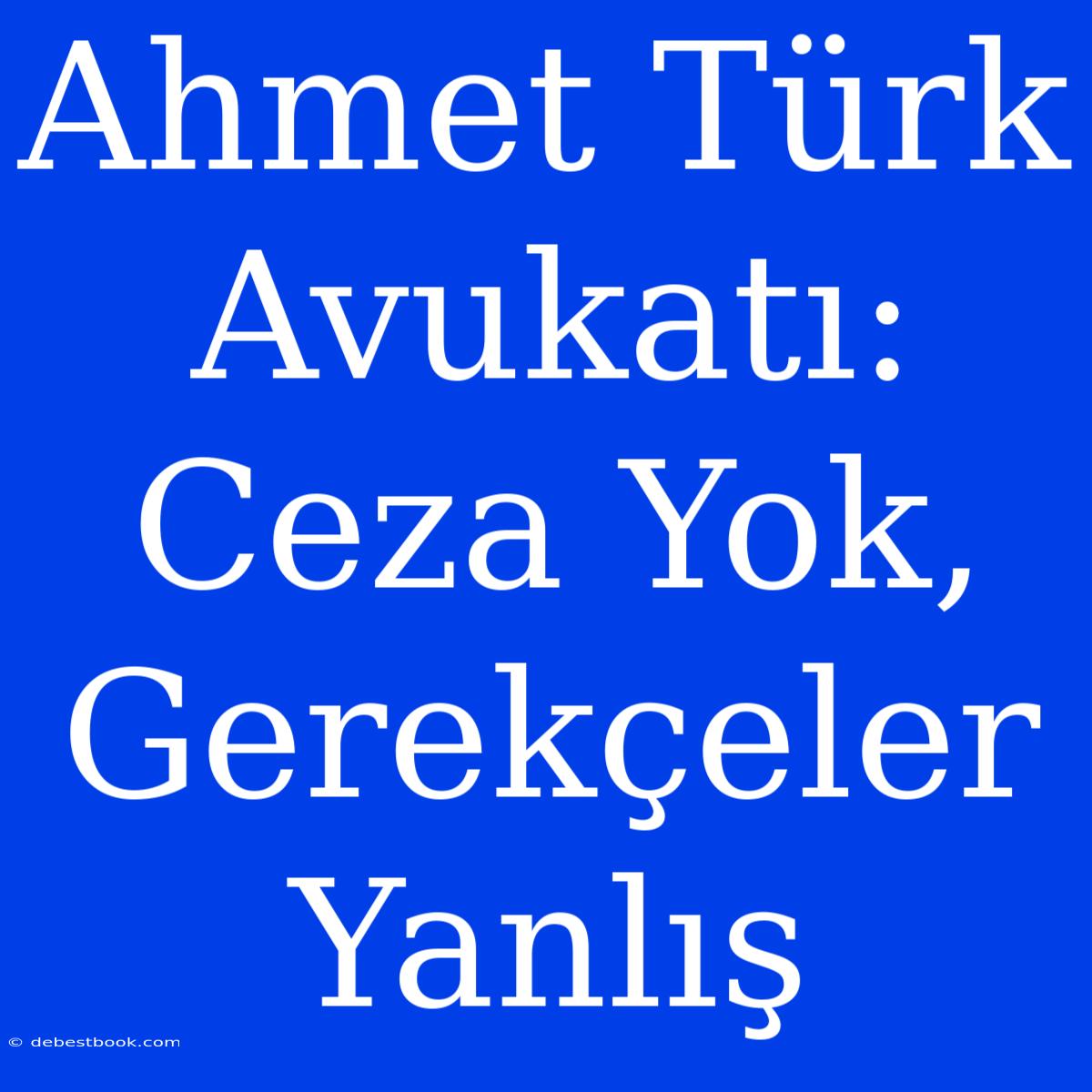 Ahmet Türk Avukatı: Ceza Yok, Gerekçeler Yanlış