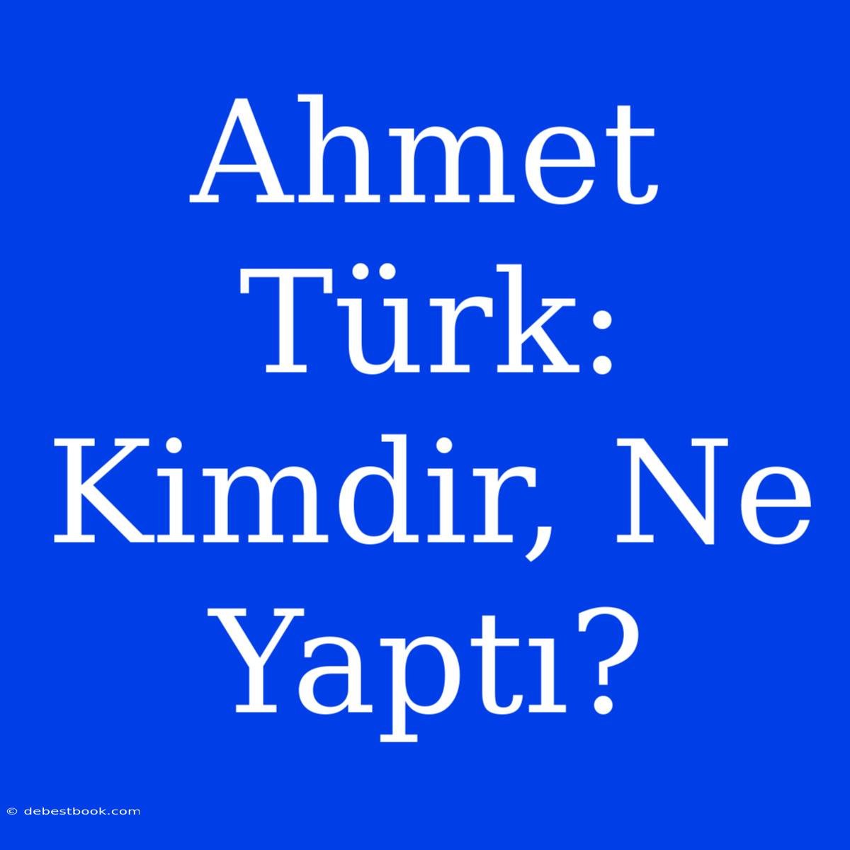 Ahmet Türk: Kimdir, Ne Yaptı?