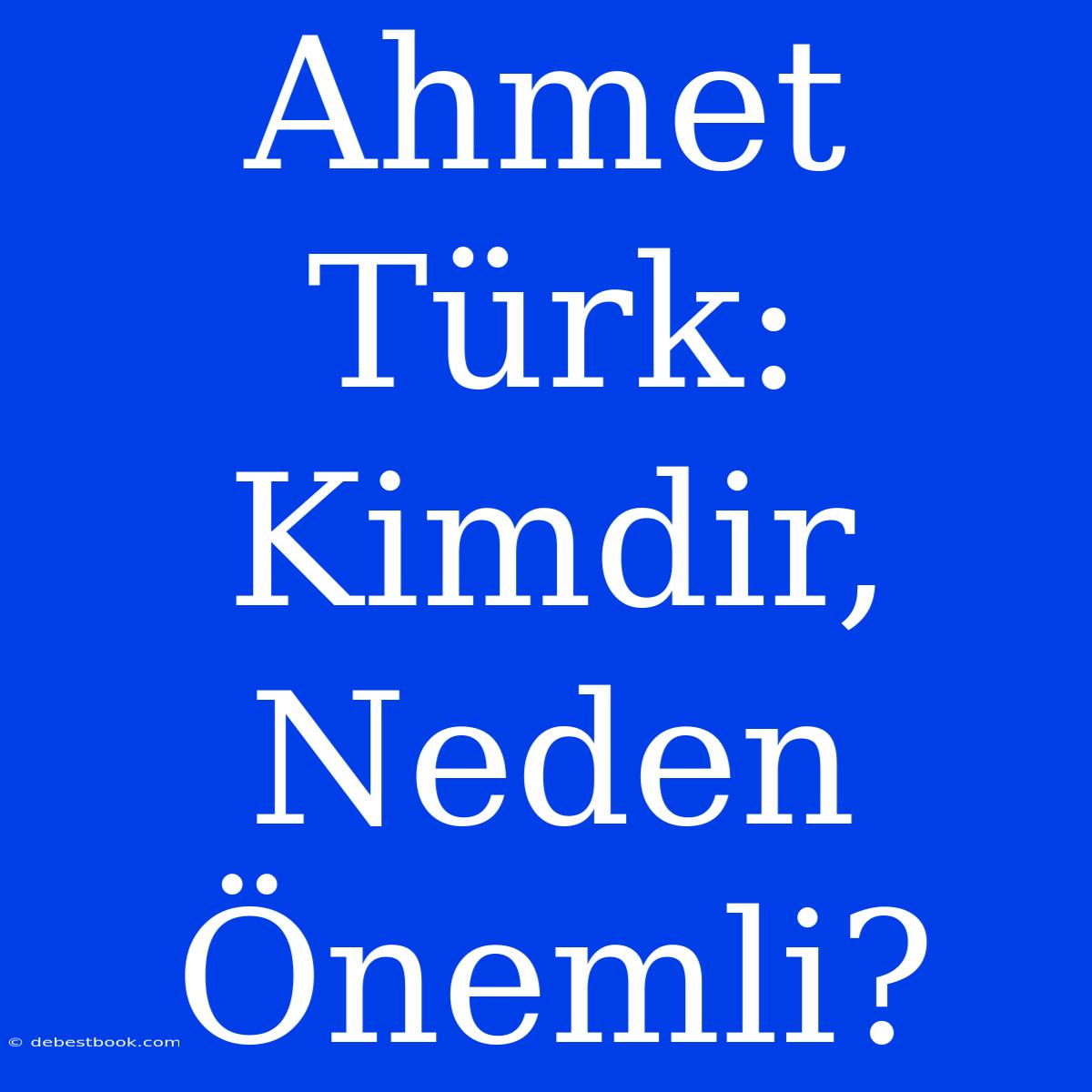 Ahmet Türk: Kimdir, Neden Önemli? 