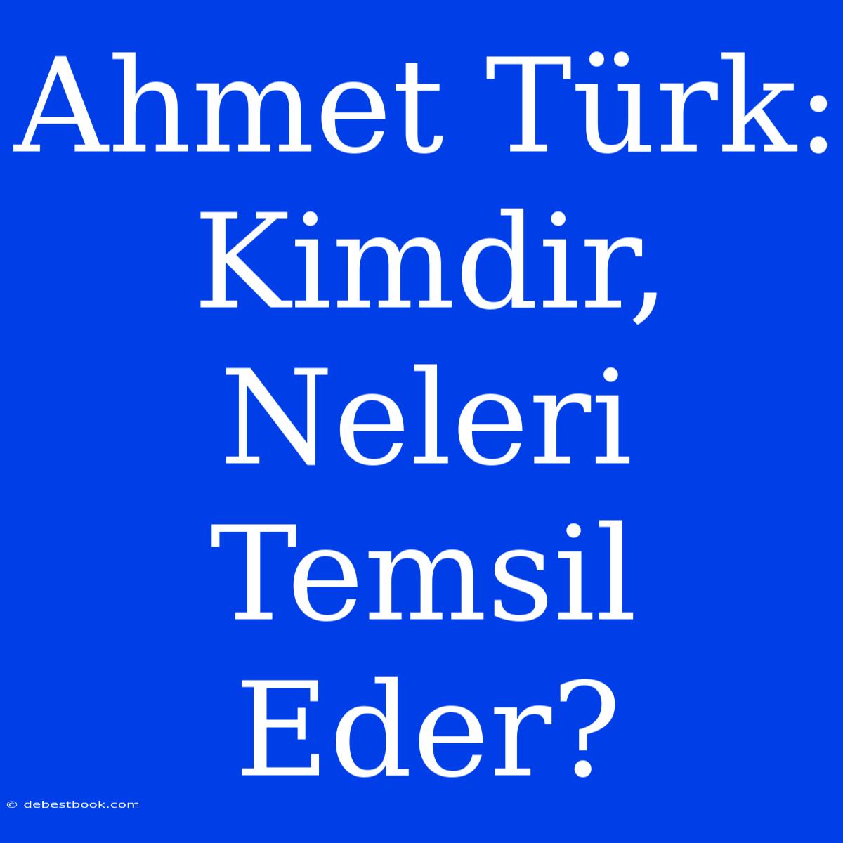 Ahmet Türk: Kimdir, Neleri Temsil Eder?