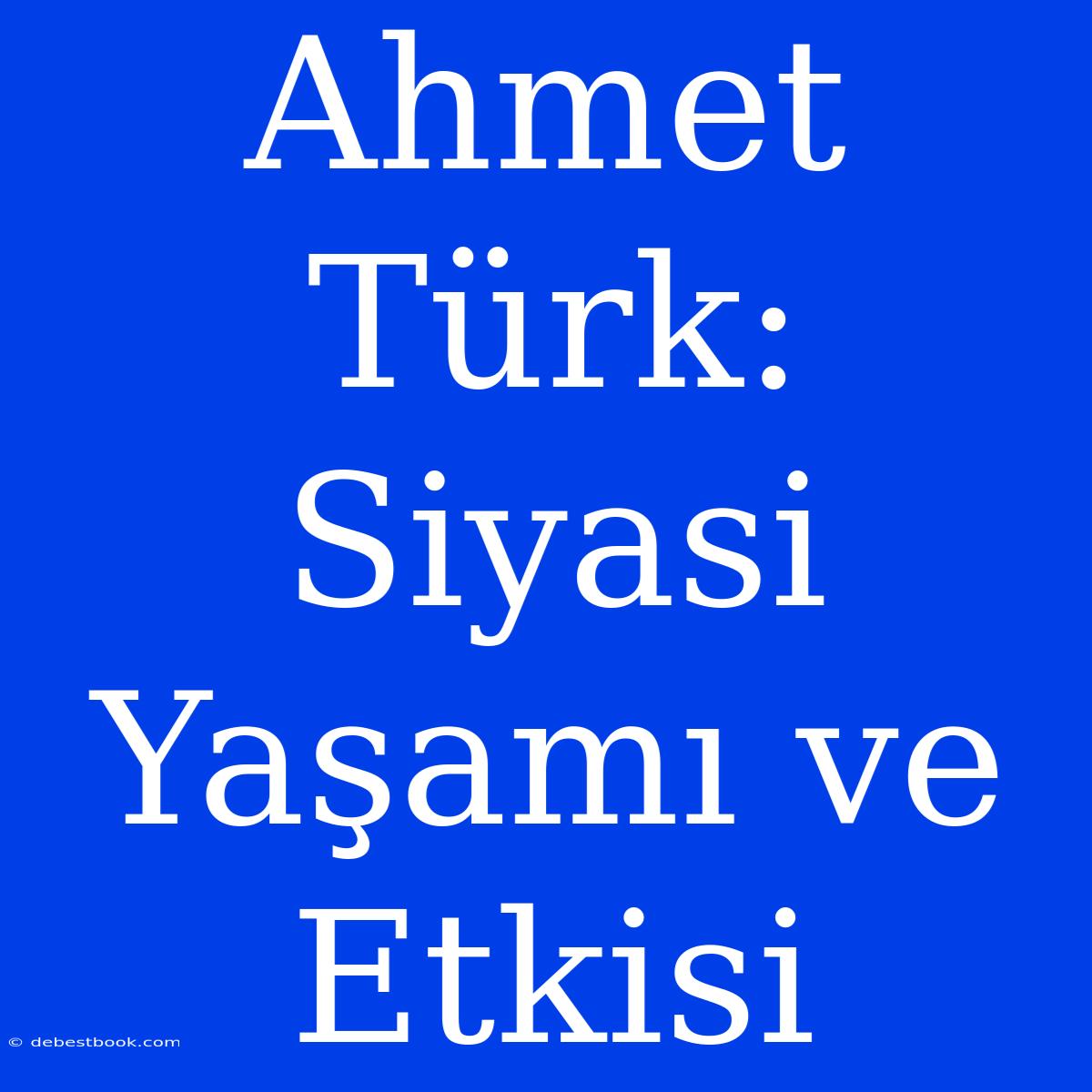 Ahmet Türk: Siyasi Yaşamı Ve Etkisi