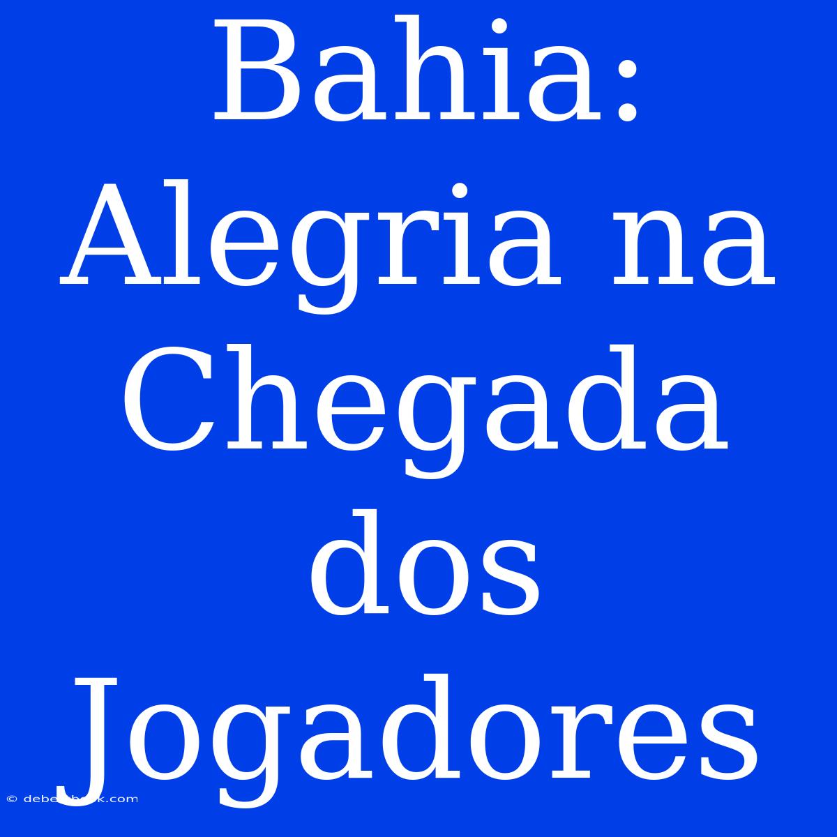 Bahia: Alegria Na Chegada Dos Jogadores