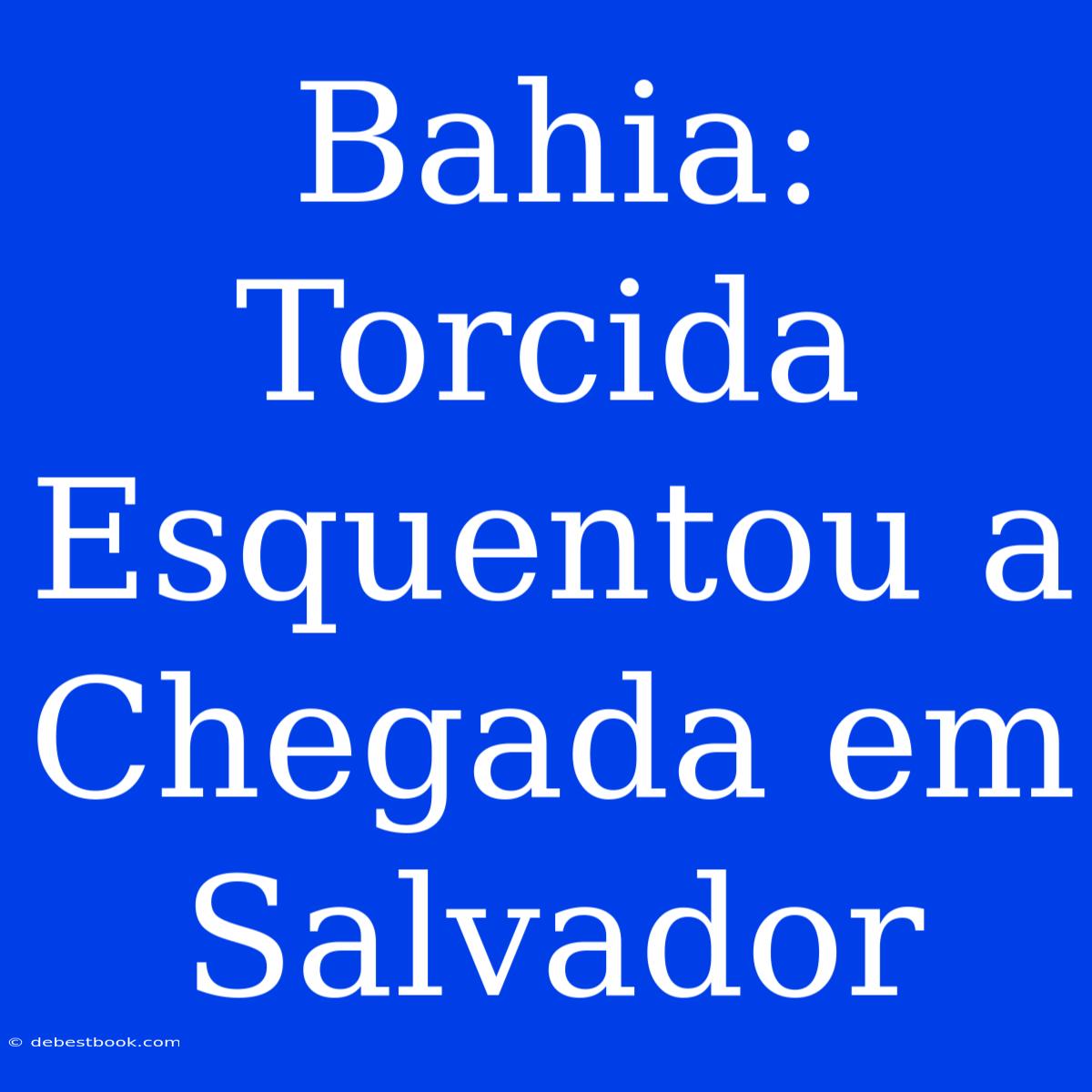 Bahia: Torcida Esquentou A Chegada Em Salvador