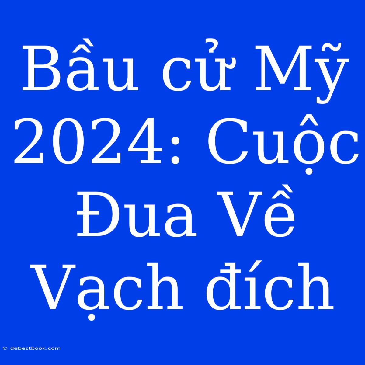 Bầu Cử Mỹ 2024: Cuộc Đua Về Vạch Đích