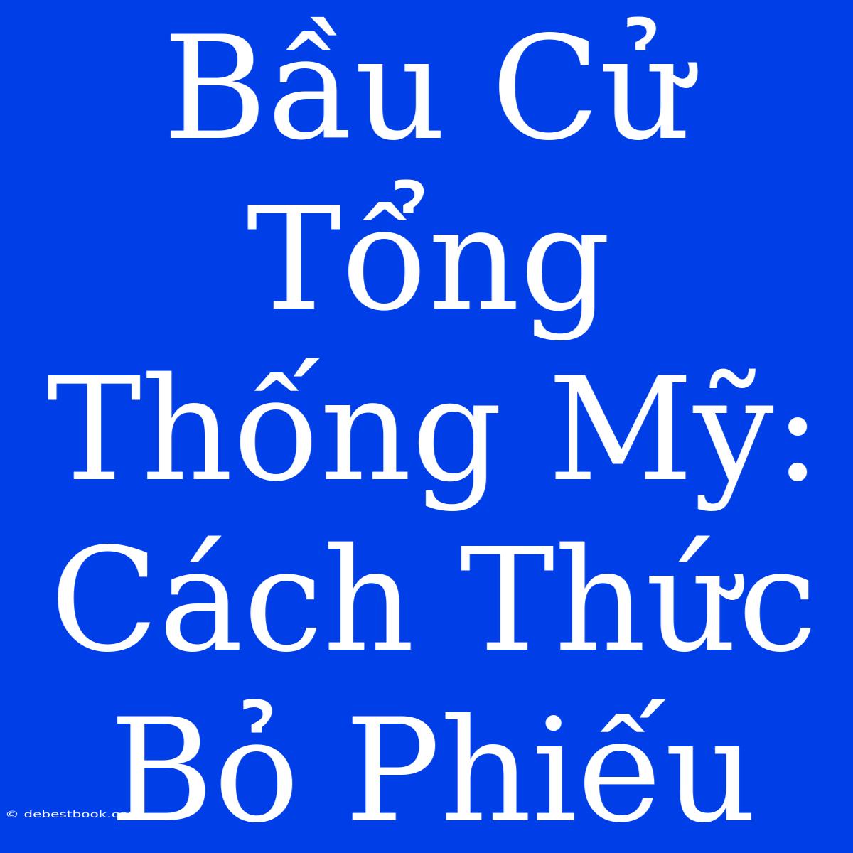 Bầu Cử Tổng Thống Mỹ: Cách Thức Bỏ Phiếu