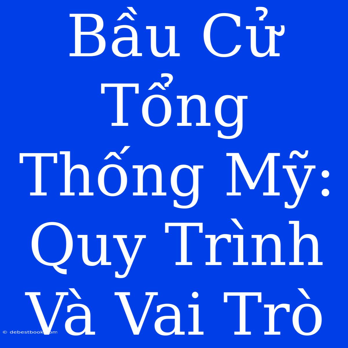 Bầu Cử Tổng Thống Mỹ: Quy Trình Và Vai Trò