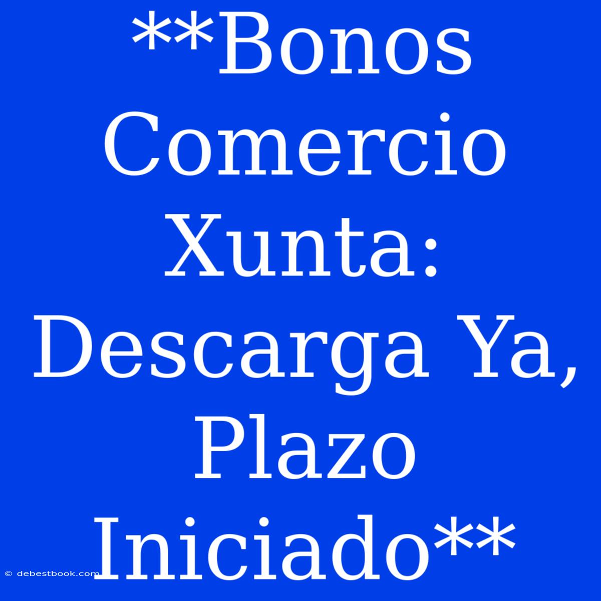 **Bonos Comercio Xunta: Descarga Ya, Plazo Iniciado**