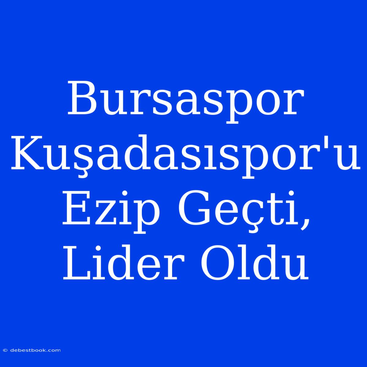 Bursaspor Kuşadasıspor'u Ezip Geçti, Lider Oldu