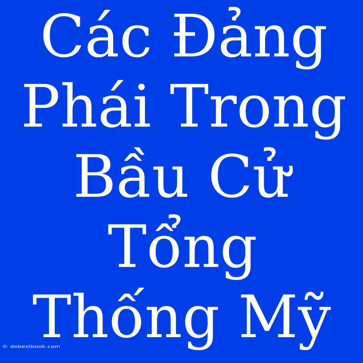 Các Đảng Phái Trong Bầu Cử Tổng Thống Mỹ