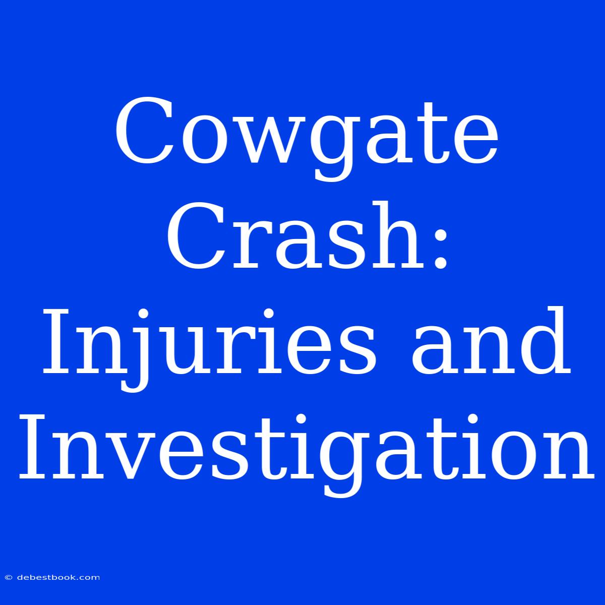 Cowgate Crash: Injuries And Investigation