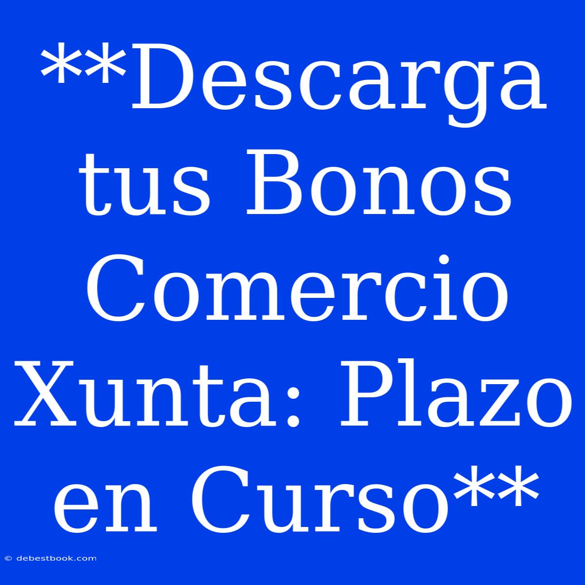 **Descarga Tus Bonos Comercio Xunta: Plazo En Curso**