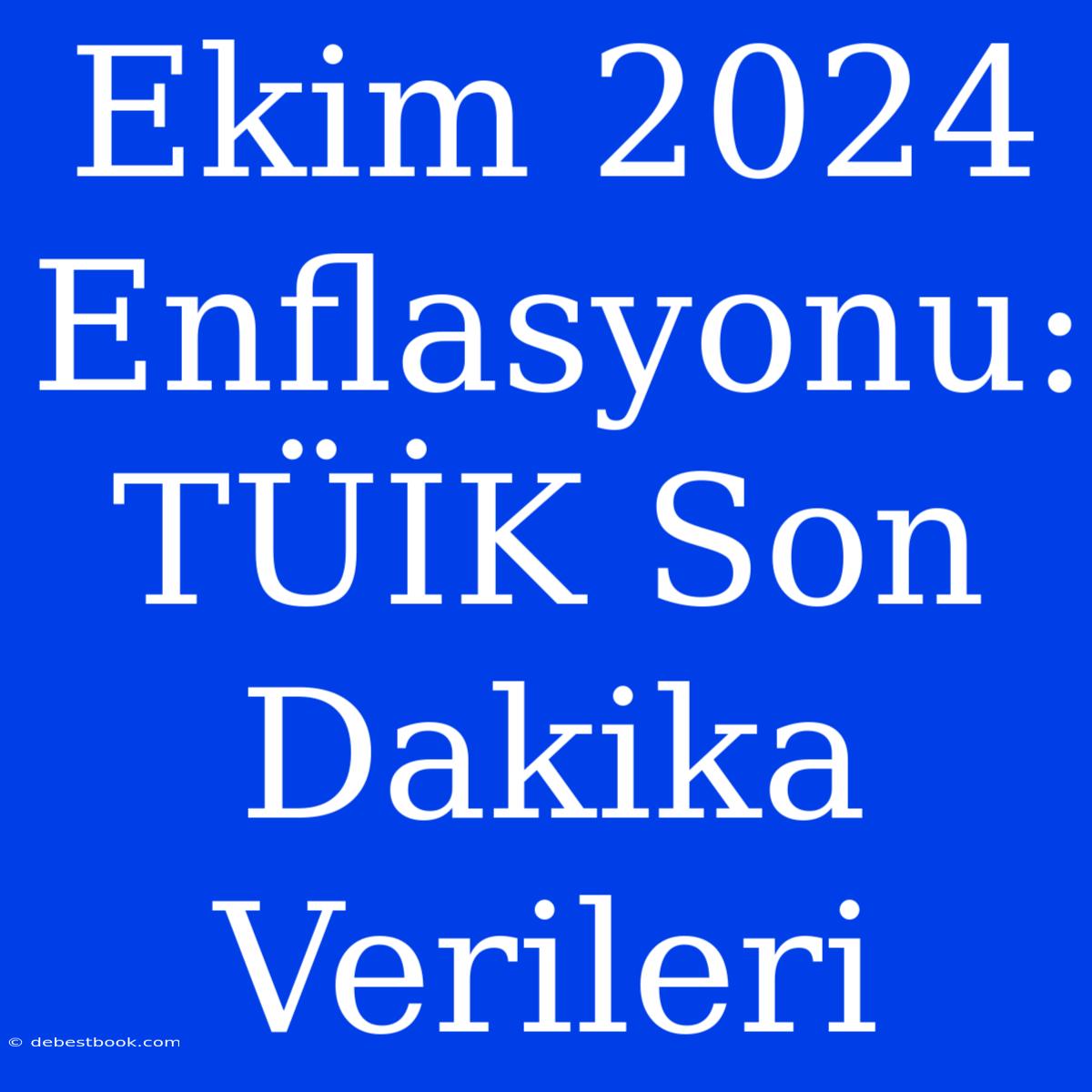 Ekim 2024 Enflasyonu: TÜİK Son Dakika Verileri