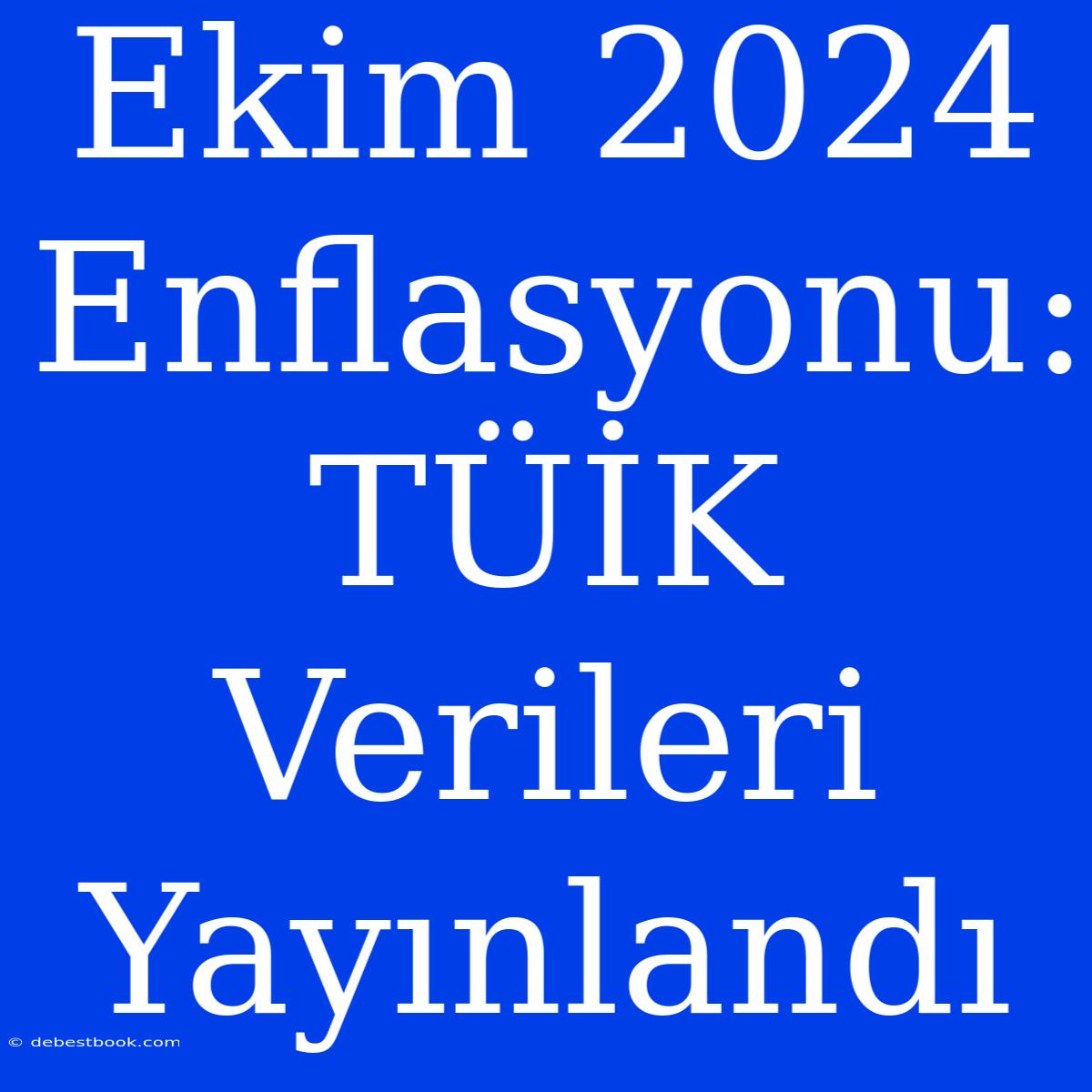 Ekim 2024 Enflasyonu: TÜİK Verileri Yayınlandı