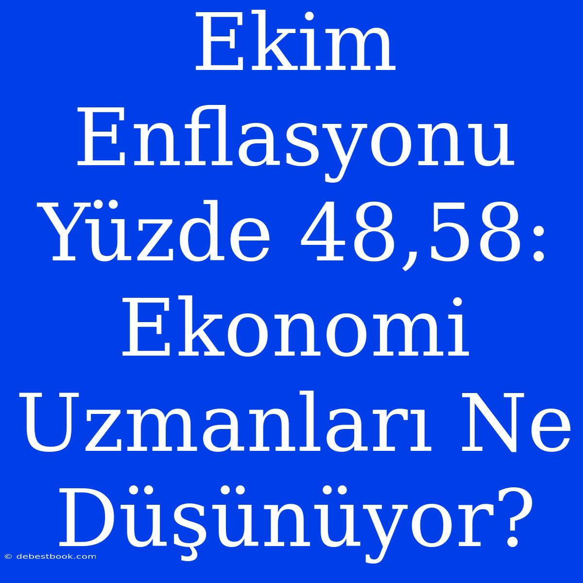 Ekim Enflasyonu Yüzde 48,58: Ekonomi Uzmanları Ne Düşünüyor? 