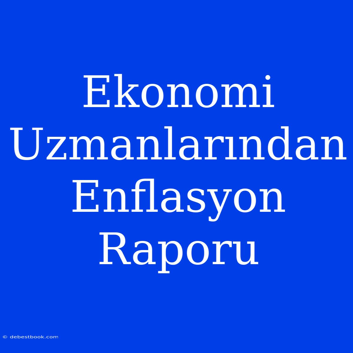 Ekonomi Uzmanlarından Enflasyon Raporu