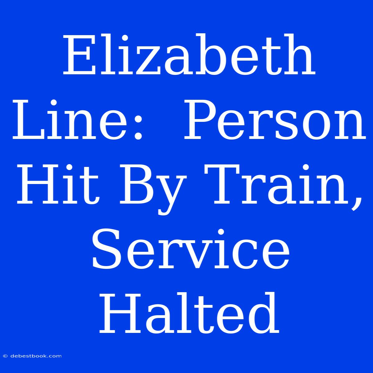 Elizabeth Line:  Person Hit By Train, Service Halted 