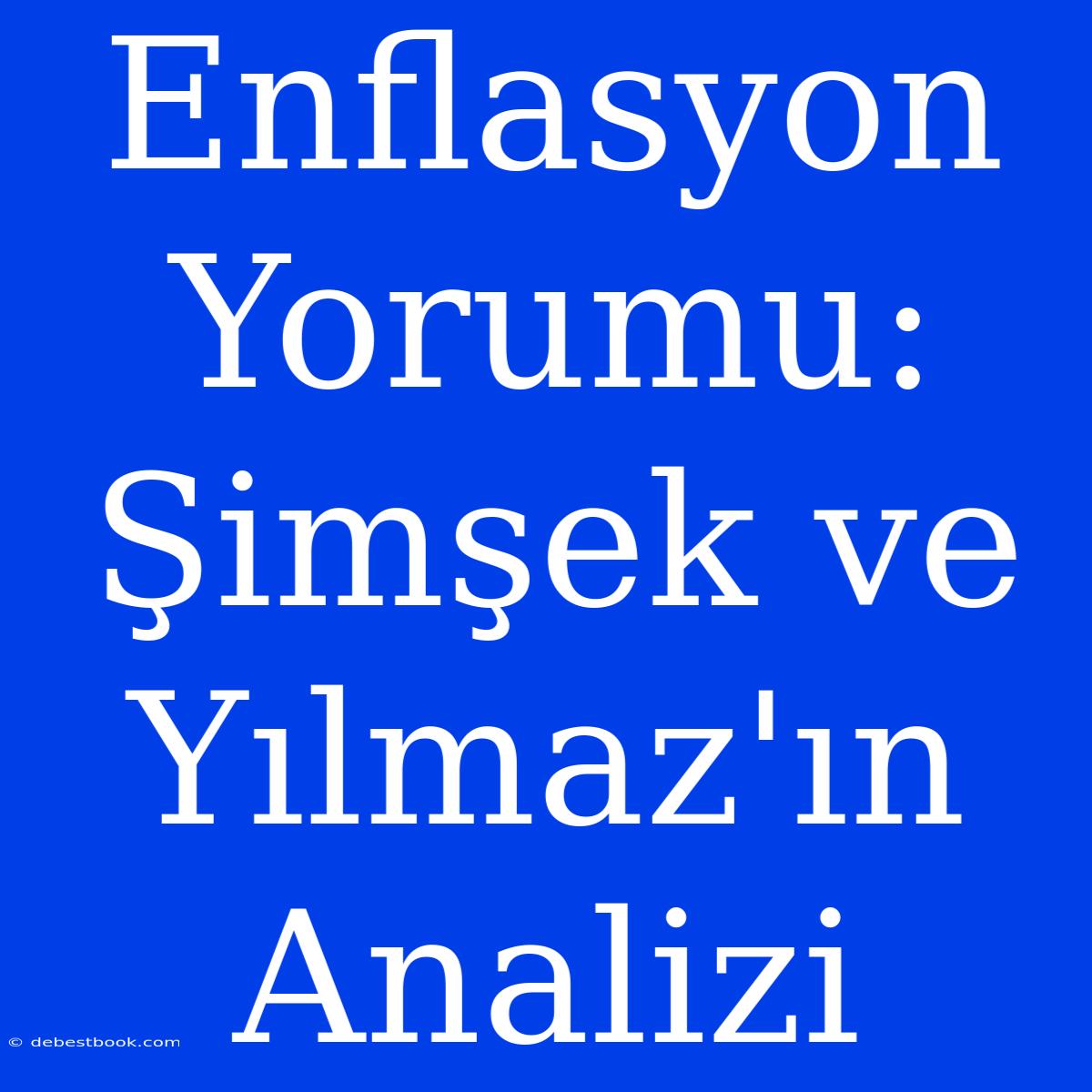 Enflasyon Yorumu: Şimşek Ve Yılmaz'ın Analizi