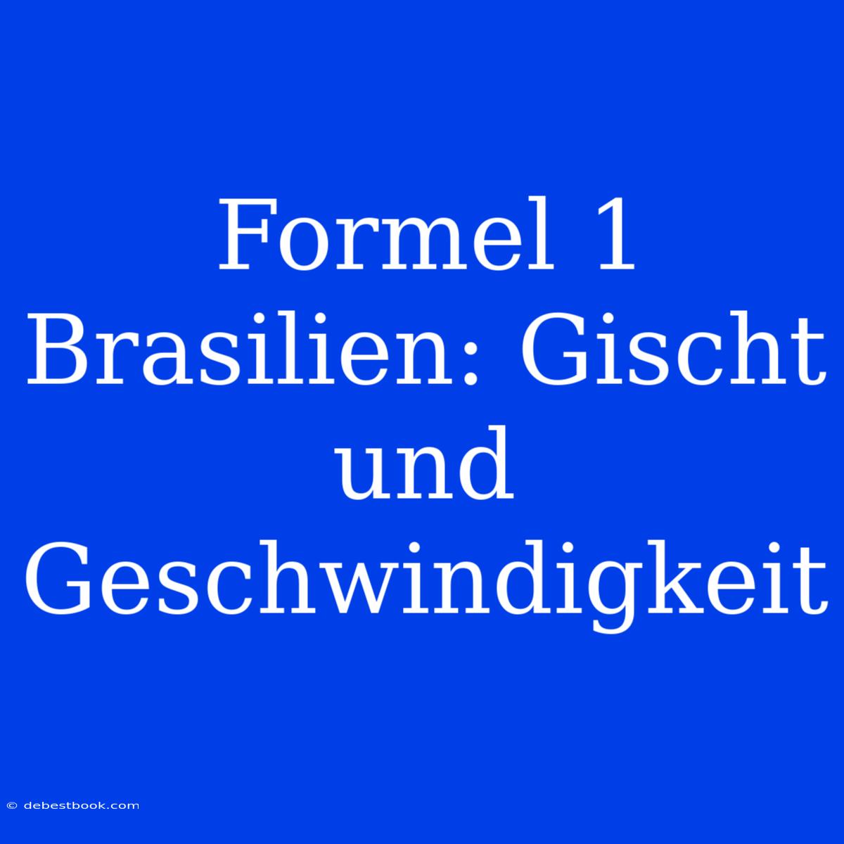 Formel 1 Brasilien: Gischt Und Geschwindigkeit