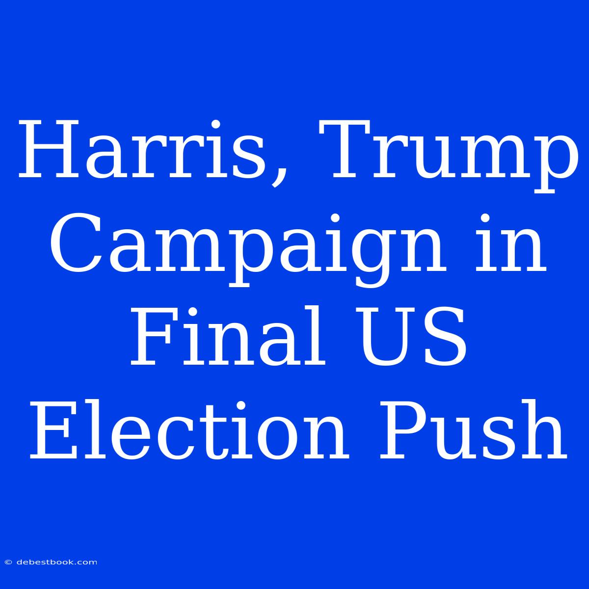 Harris, Trump Campaign In Final US Election Push