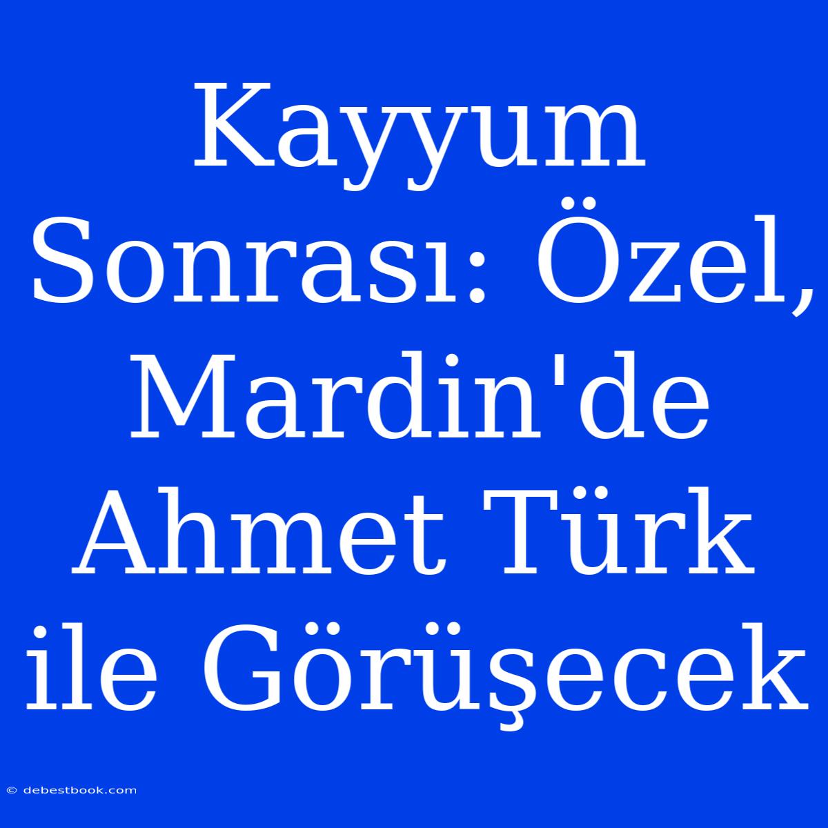 Kayyum Sonrası: Özel, Mardin'de Ahmet Türk Ile Görüşecek 