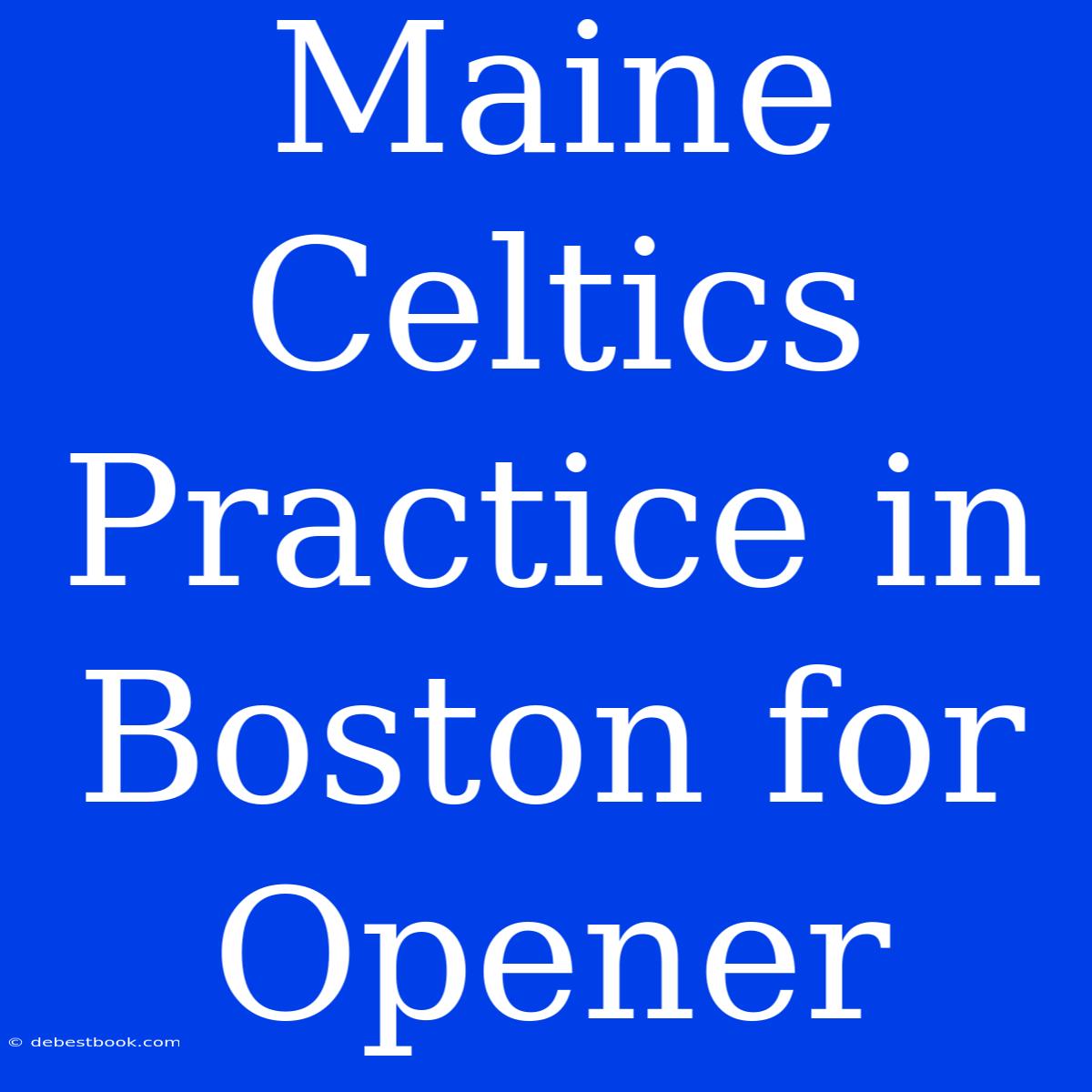 Maine Celtics Practice In Boston For Opener