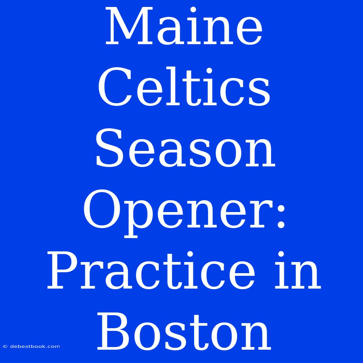 Maine Celtics Season Opener: Practice In Boston