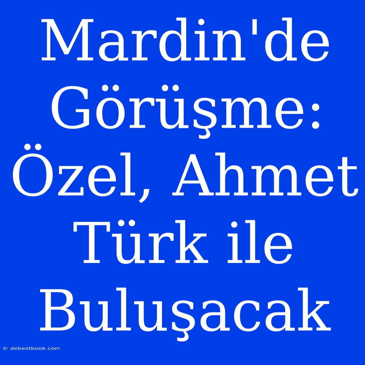 Mardin'de Görüşme: Özel, Ahmet Türk Ile Buluşacak