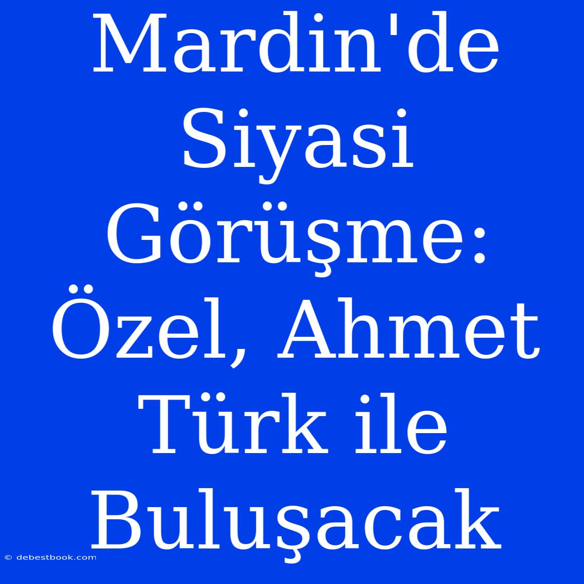 Mardin'de Siyasi Görüşme: Özel, Ahmet Türk Ile Buluşacak