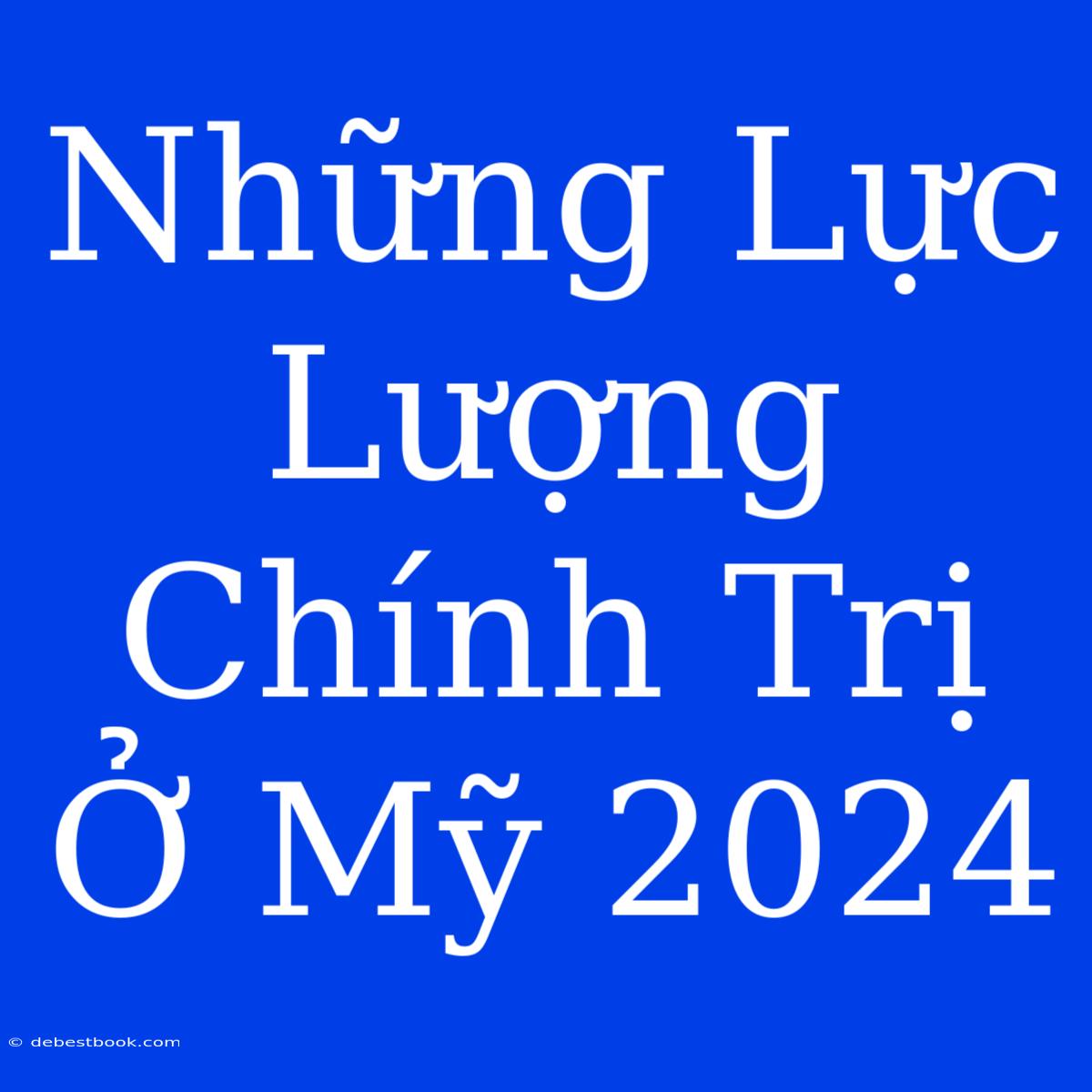 Những Lực Lượng Chính Trị Ở Mỹ 2024