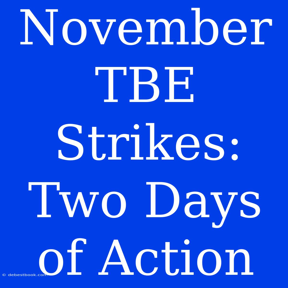 November TBE Strikes: Two Days Of Action