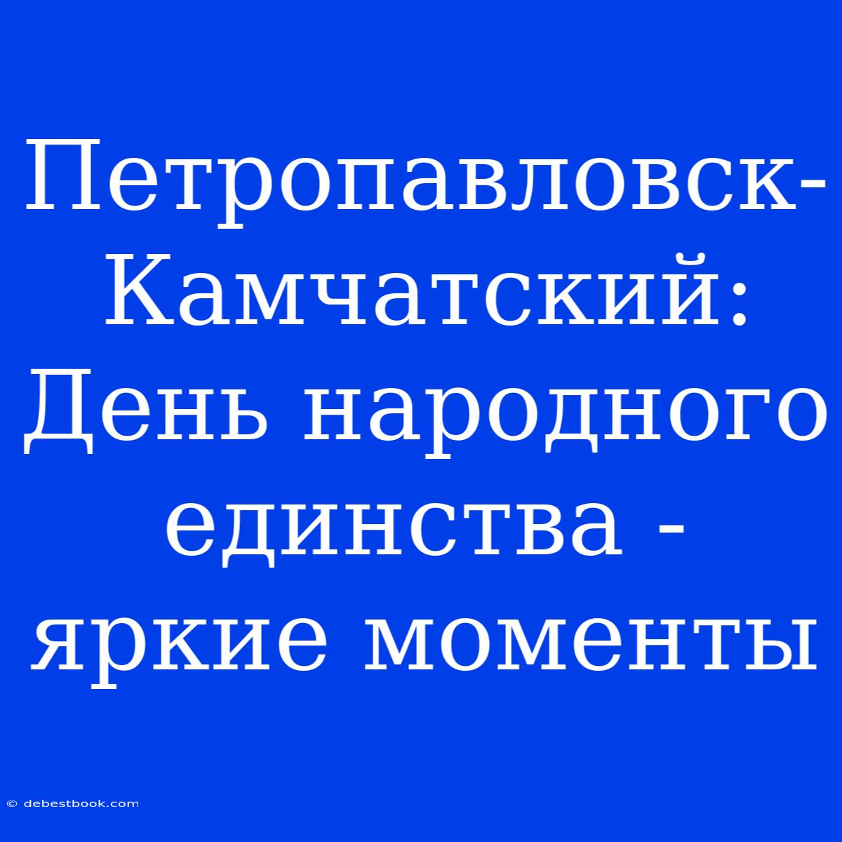 Петропавловск-Камчатский:  День Народного Единства - Яркие Моменты