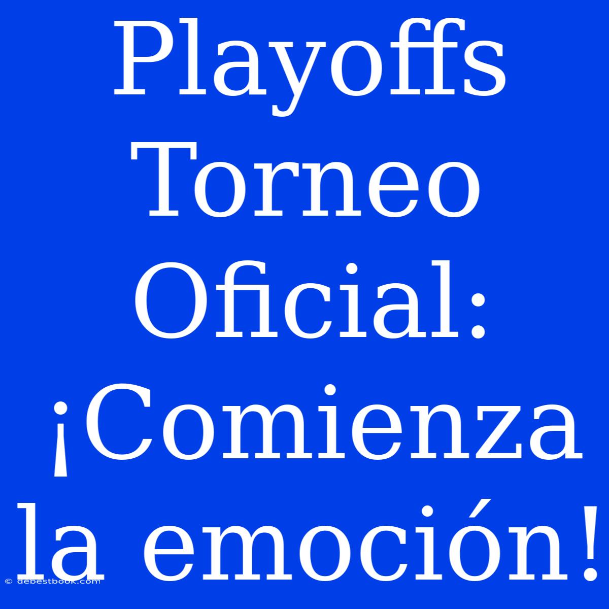 Playoffs Torneo Oficial: ¡Comienza La Emoción!