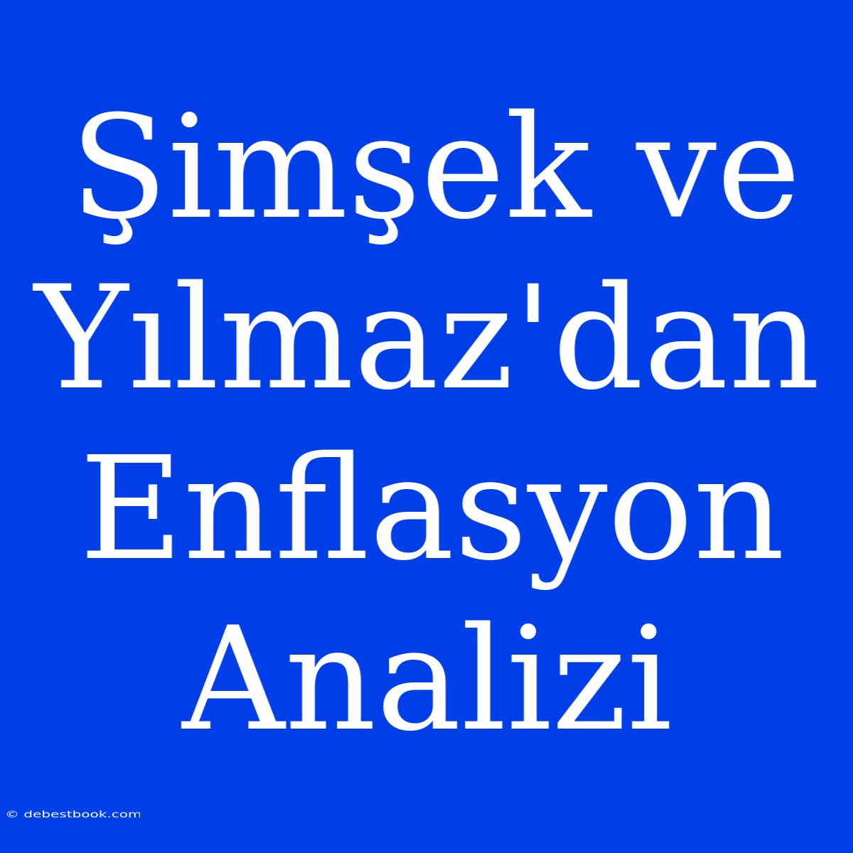 Şimşek Ve Yılmaz'dan Enflasyon Analizi