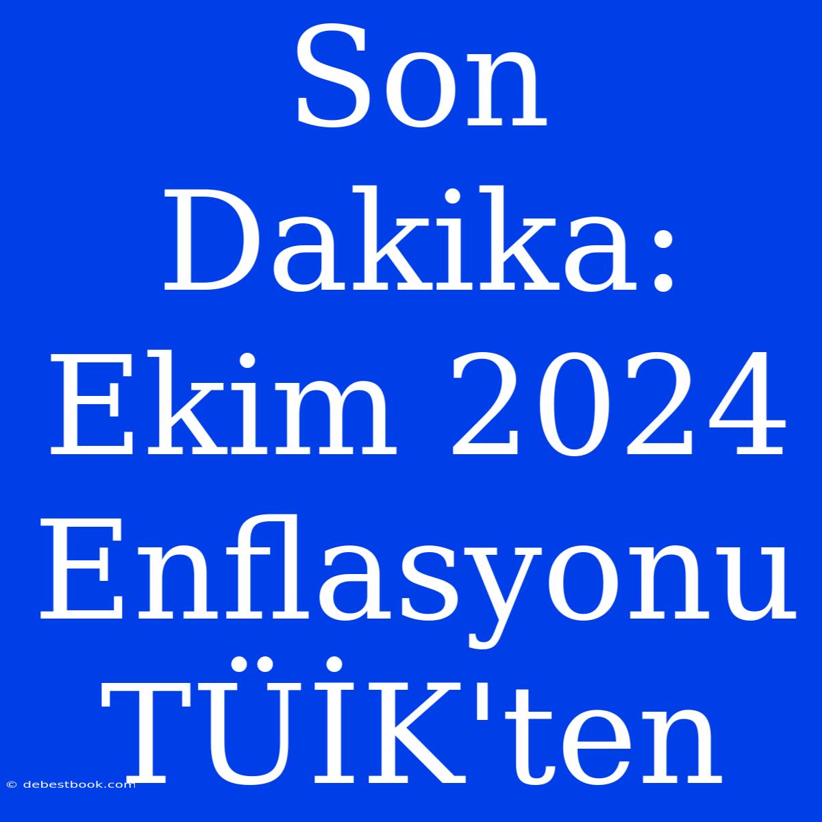 Son Dakika: Ekim 2024 Enflasyonu TÜİK'ten