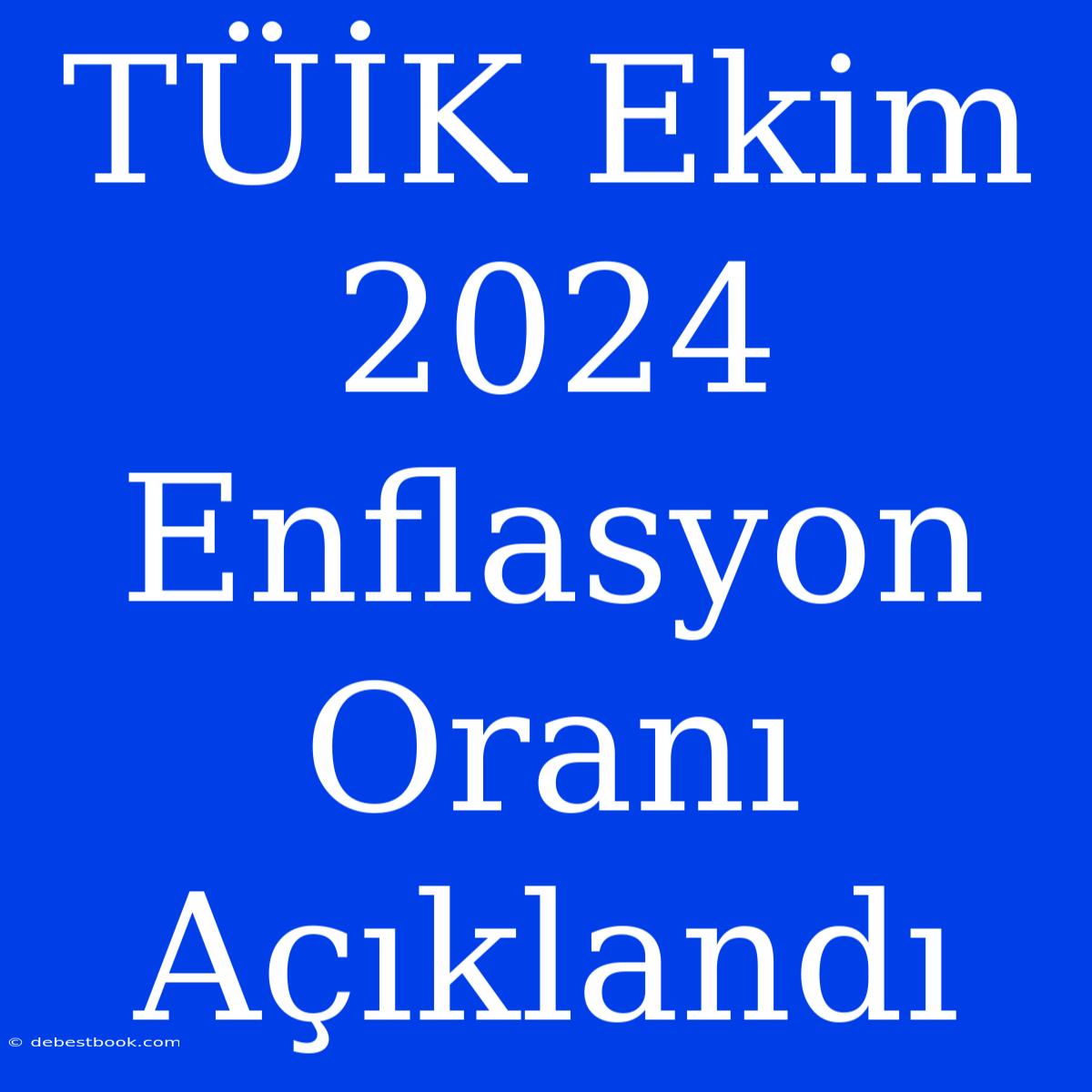 TÜİK Ekim 2024 Enflasyon Oranı Açıklandı