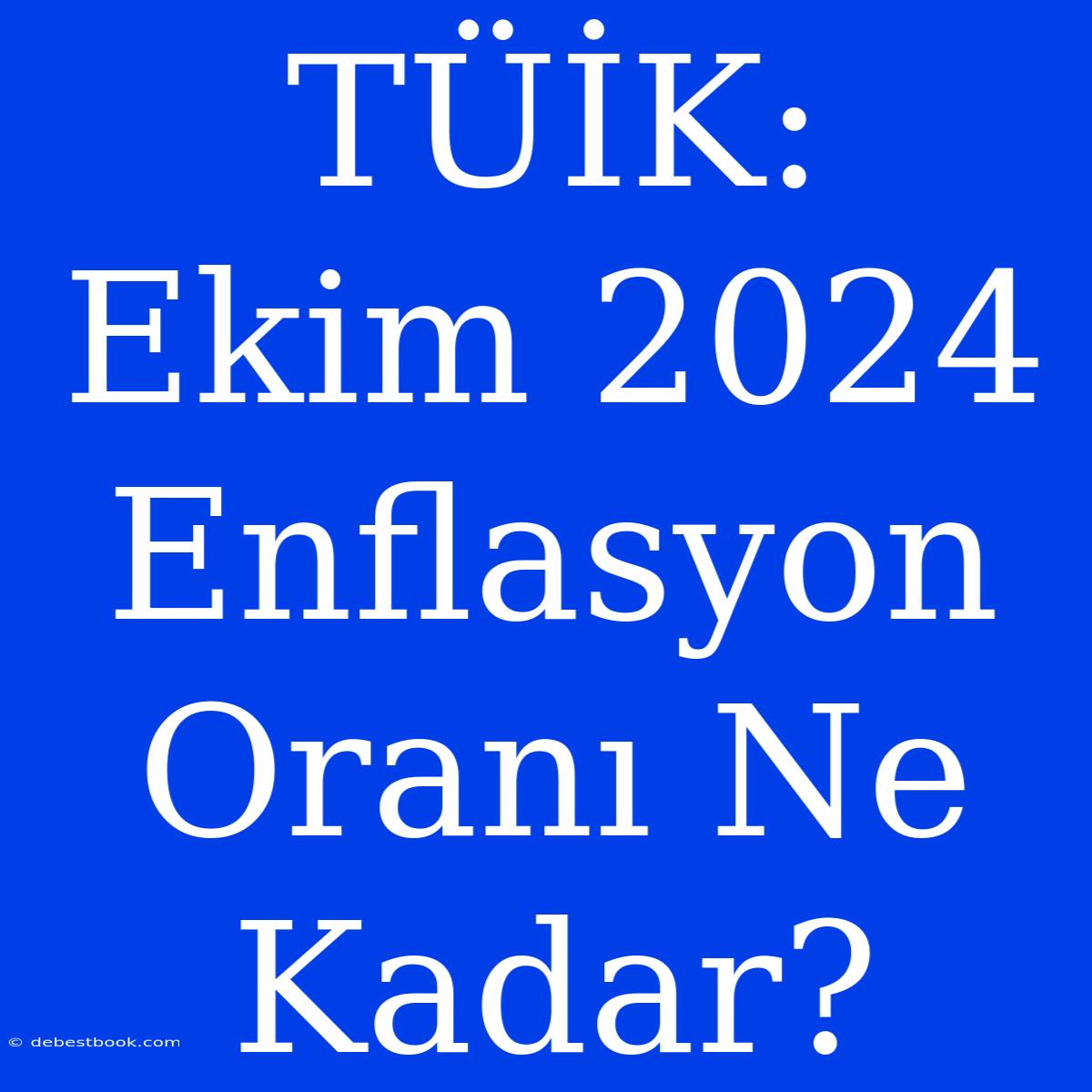 TÜİK: Ekim 2024 Enflasyon Oranı Ne Kadar?