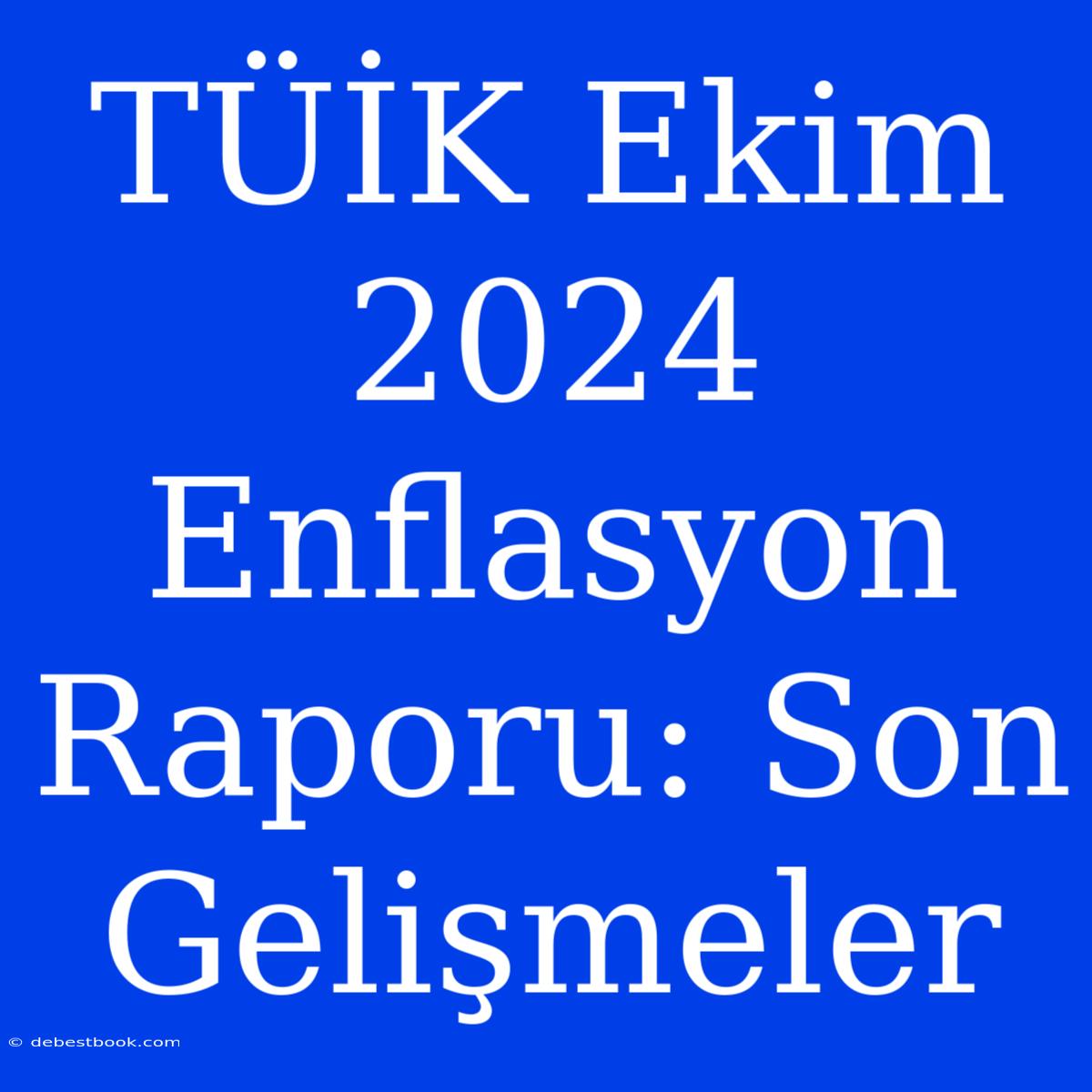 TÜİK Ekim 2024 Enflasyon Raporu: Son Gelişmeler