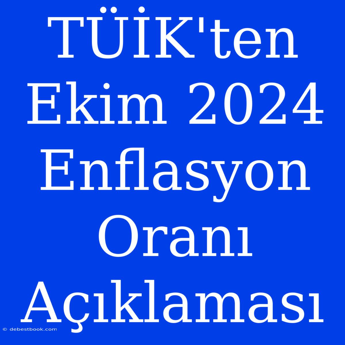 TÜİK'ten Ekim 2024 Enflasyon Oranı Açıklaması