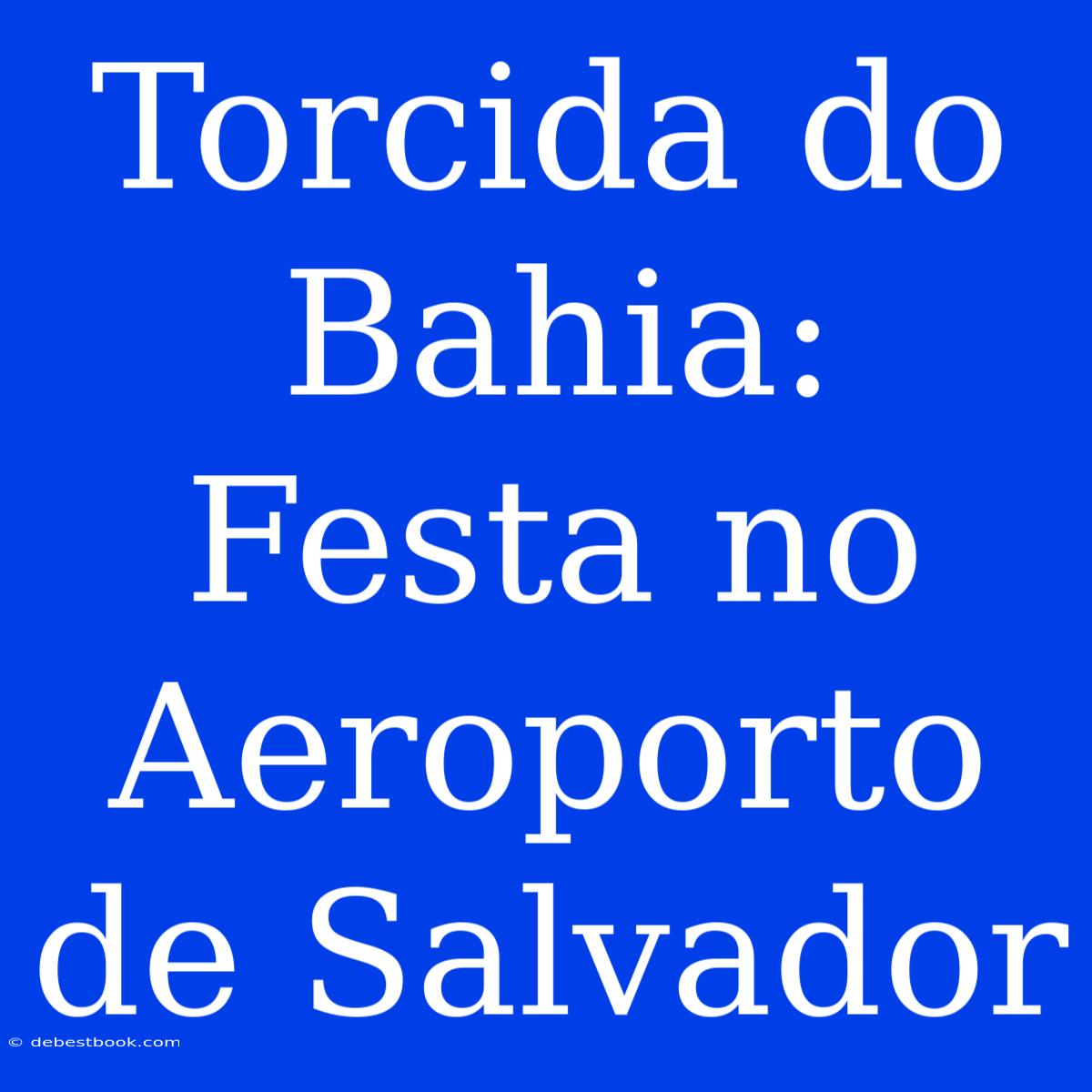 Torcida Do Bahia: Festa No Aeroporto De Salvador