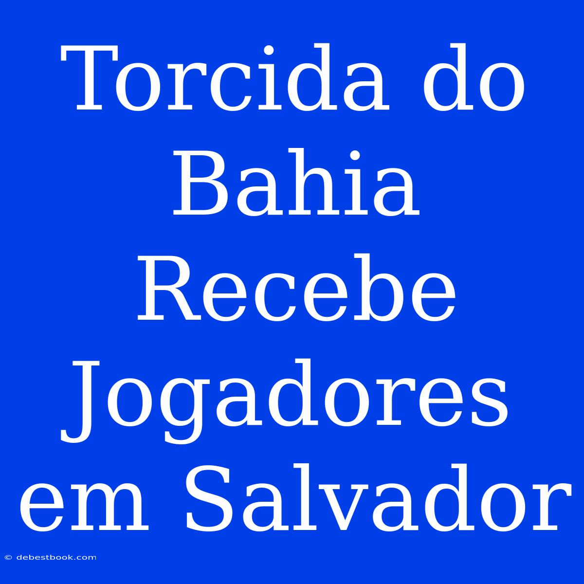 Torcida Do Bahia Recebe Jogadores Em Salvador