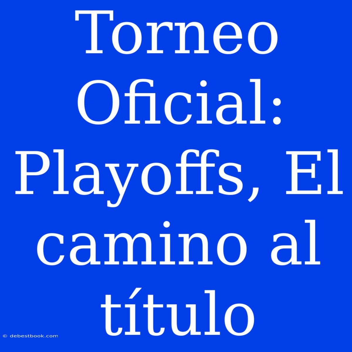 Torneo Oficial: Playoffs, El Camino Al Título