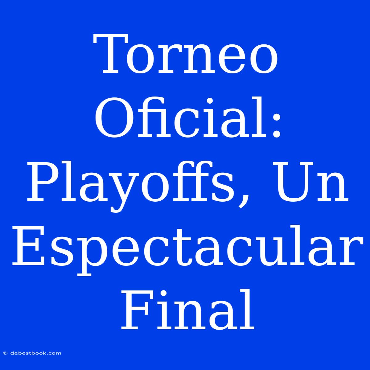 Torneo Oficial: Playoffs, Un Espectacular Final  