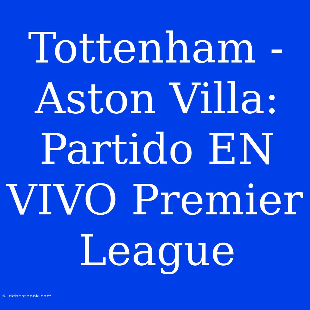 Tottenham - Aston Villa: Partido EN VIVO Premier League