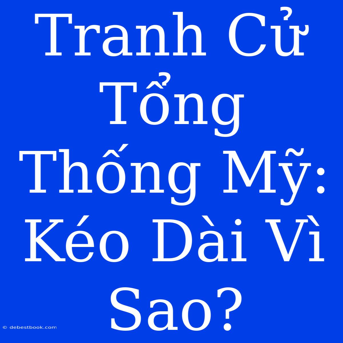 Tranh Cử Tổng Thống Mỹ: Kéo Dài Vì Sao? 