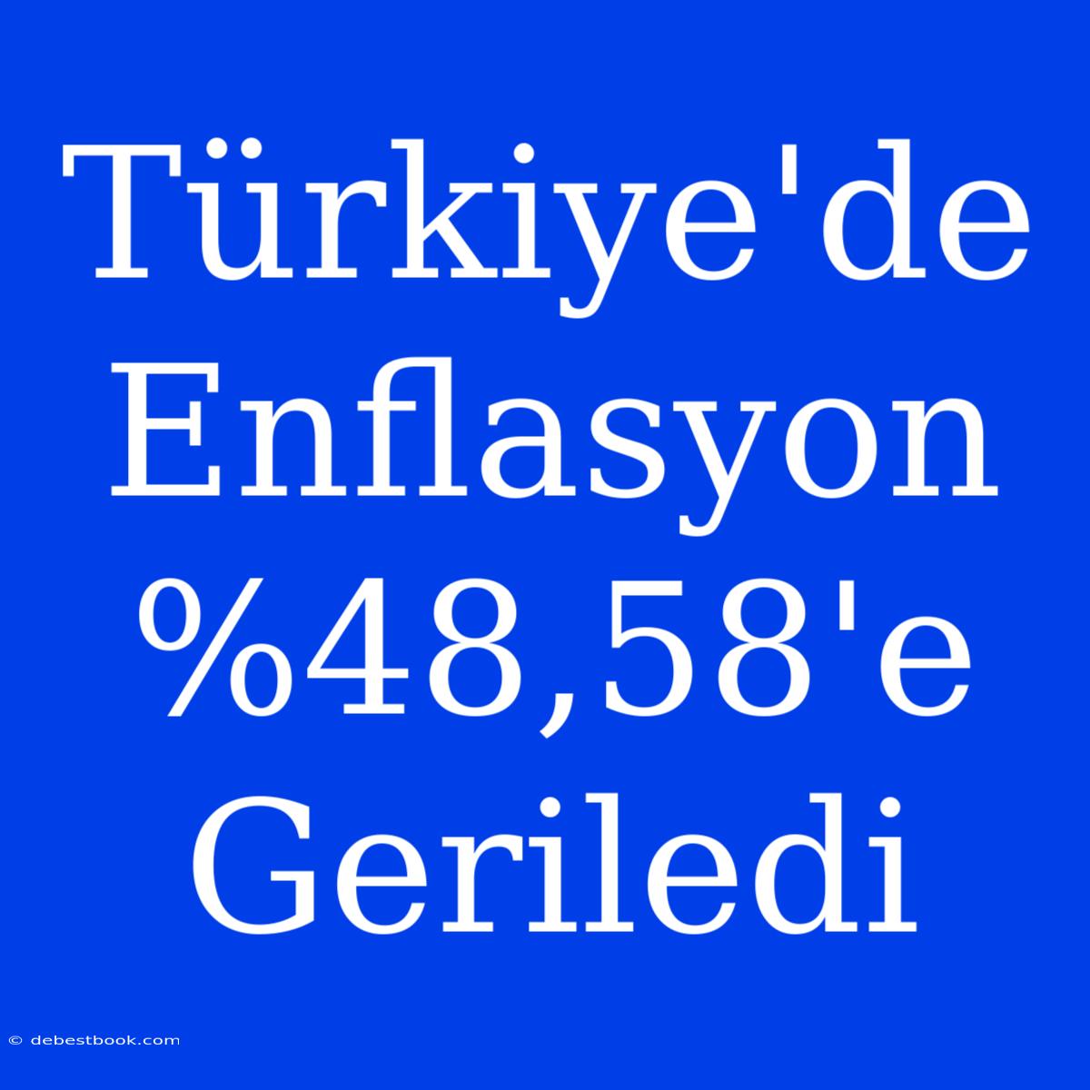 Türkiye'de Enflasyon %48,58'e Geriledi