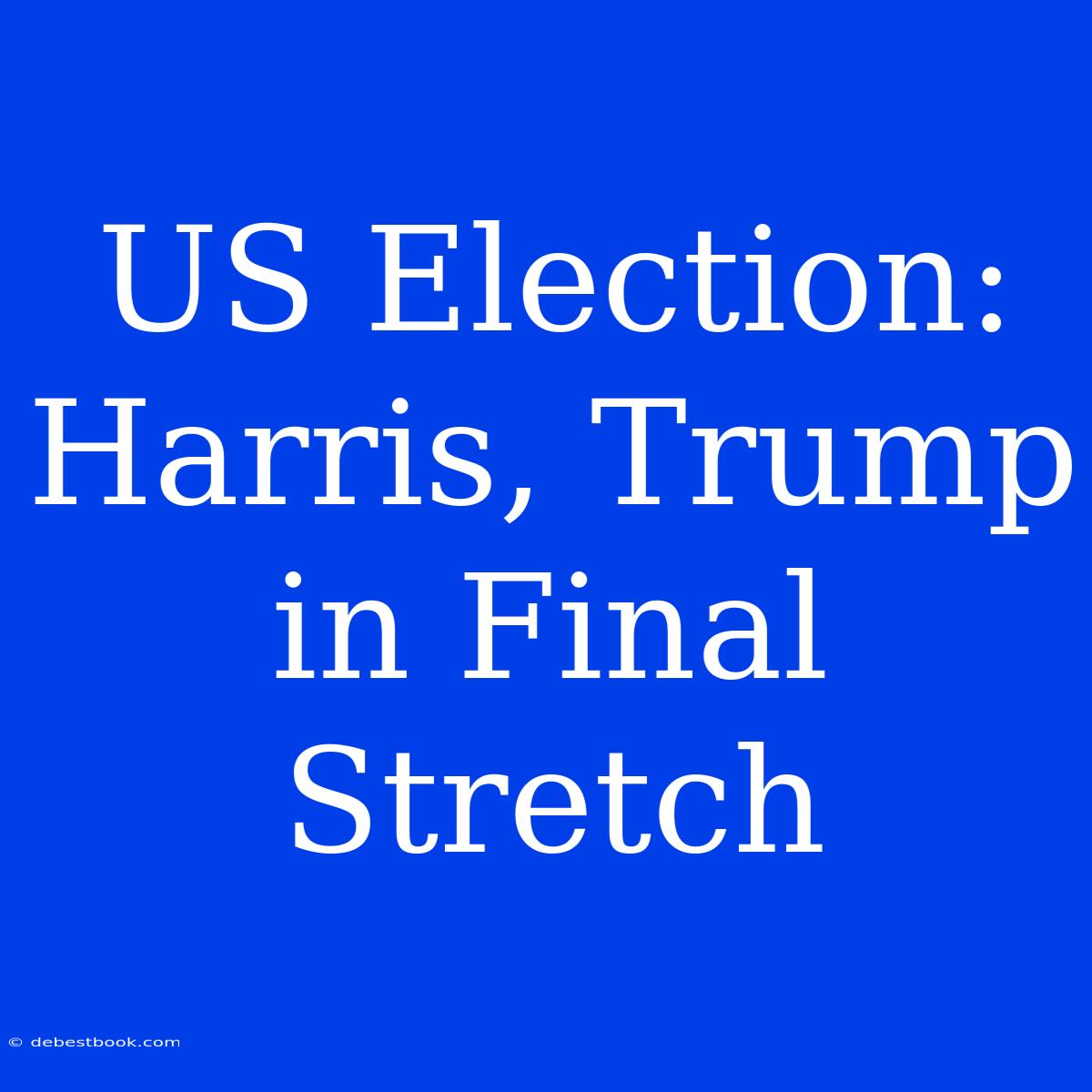 US Election: Harris, Trump In Final Stretch