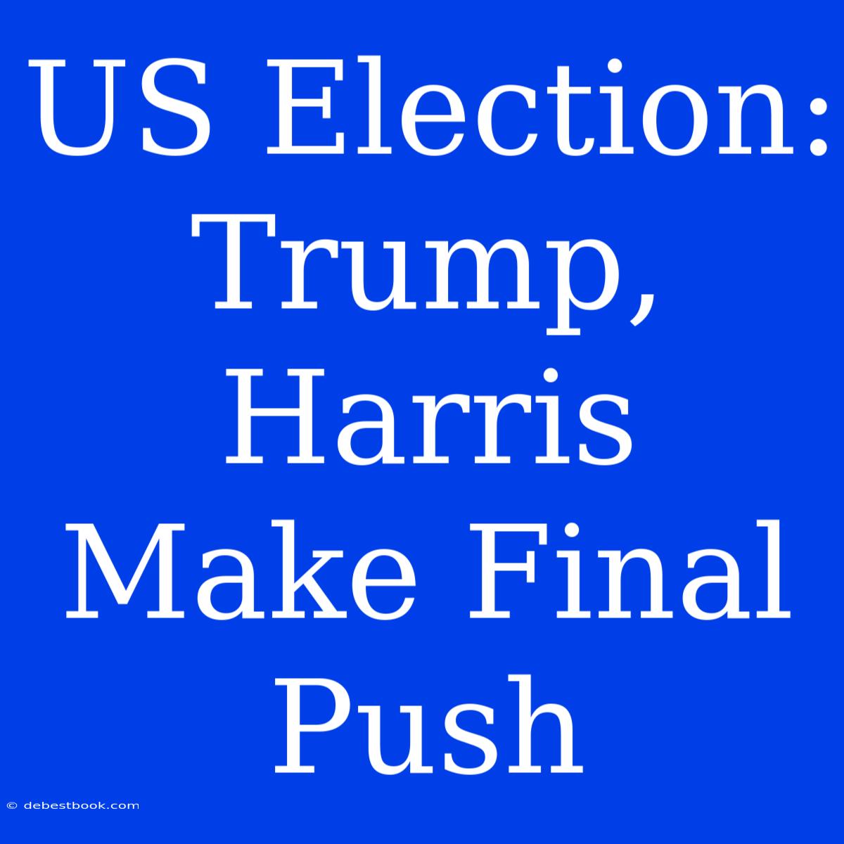 US Election: Trump, Harris Make Final Push 