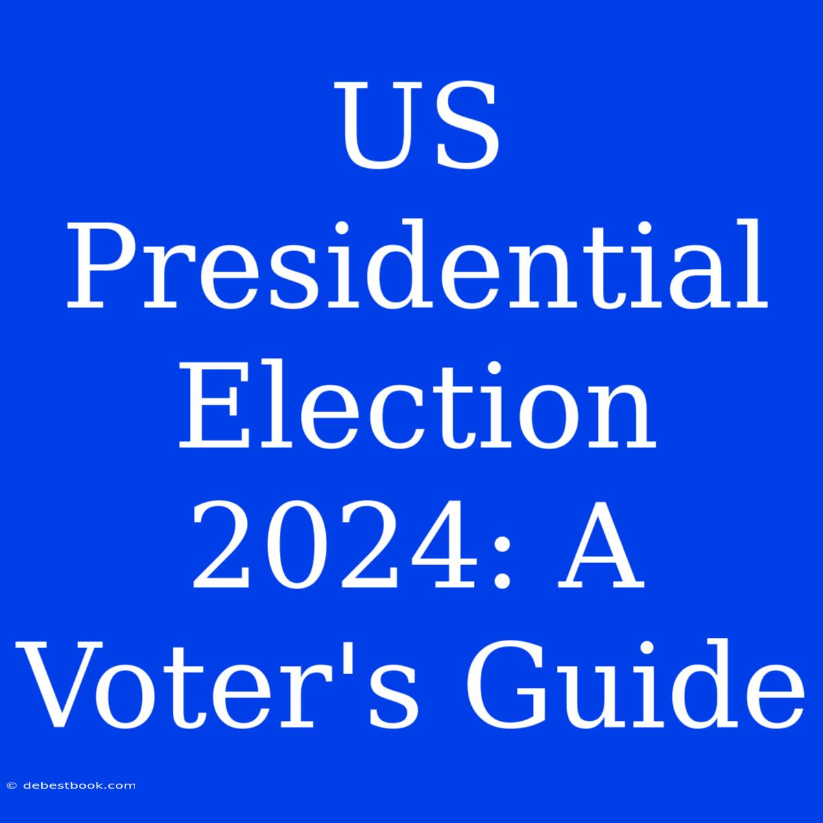 US Presidential Election 2024: A Voter's Guide